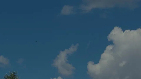 Blue summer sky with large white clouds and birds drifting overhead, open serene Stock Footage 342502657