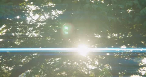 Blue Sunbeams Shine Through Trees 4K Stock-Footage 158945628