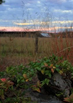 Blue Sunset on the Farm Stock Photos