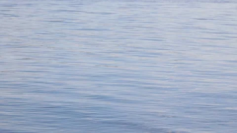Blue surface of river, lake or sea Stock Footage 300882492