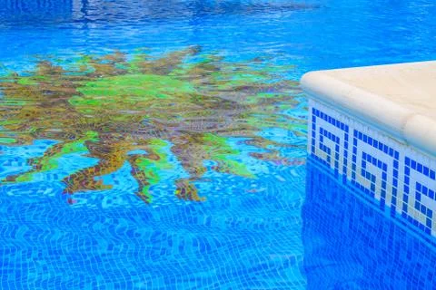 Blue swimming pool 写真素材