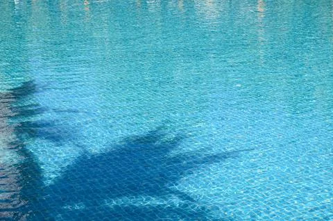 Blue swimming pool with shadow of tree, beautiful background Stock Photos