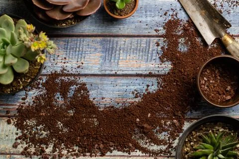 Blue table with garden elements Stock Photos