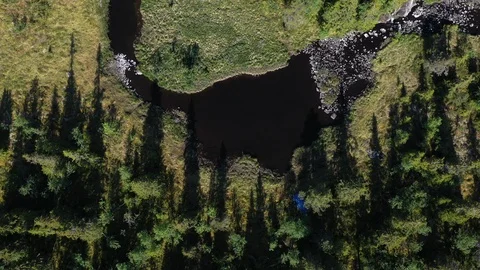 Blue tent in the green forest Vídeo Stock 116776624