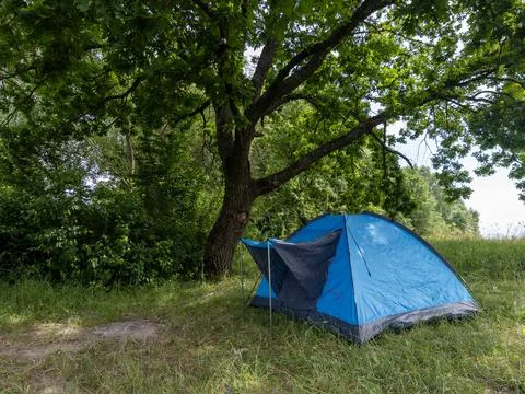 A blue tent is set up under a tree in a grassy field Stock Photos