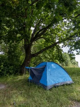 A blue tent is set up under a tree in a grassy field Stock-Fotos