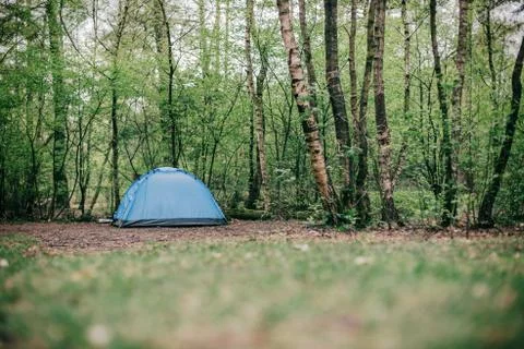 Blue tent standing in a spring forest. Stock Photos