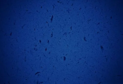 BLUE TEXTURE BACKGROUND FOR GRAPHIC DESIGN Stock Photos