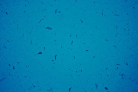 BLUE TEXTURE BACKGROUND FOR GRAPHIC DESIGN Stock Photos