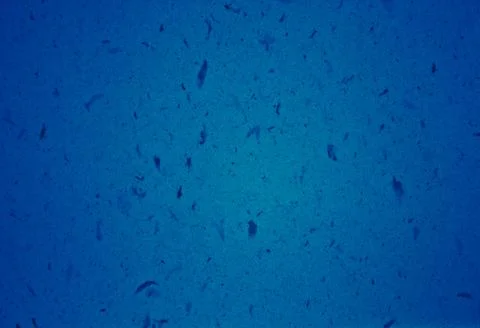 BLUE TEXTURE BACKGROUND FOR GRAPHIC DESIGN Stock Photos