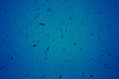 BLUE TEXTURE BACKGROUND FOR GRAPHIC DESIGN Stock Photos