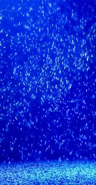 Blue texture with falling particles background 写真素材