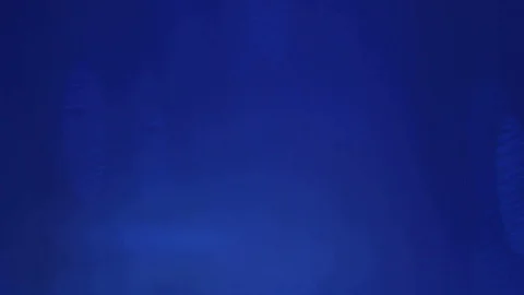 Blue Texture Stock Footage 107799059