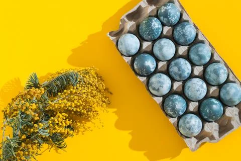 Blue textured colored Easter eggs in a box and mimosa flowers on a bright yel Stock Photos