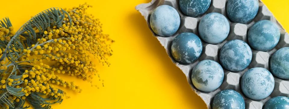 Blue textured colored Easter eggs in a box and mimosa flowers on a bright yel Stock Photos