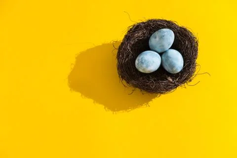 Blue textured colored Easter eggs in a nest or wreath on a bright yellow holi Stock Photos