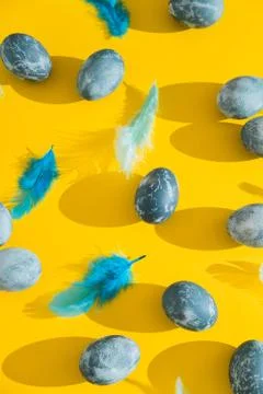 Blue textured colored Easter eggs and chicken bird feathers on a bright yello Stock Photos