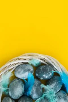 Blue textured colored Easter eggs with bird feathers in a nest or wreath on a Stock Photos