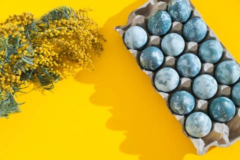 Blue textured colored Easter eggs in a box and mimosa flowers on a bright yellow Stock Photos