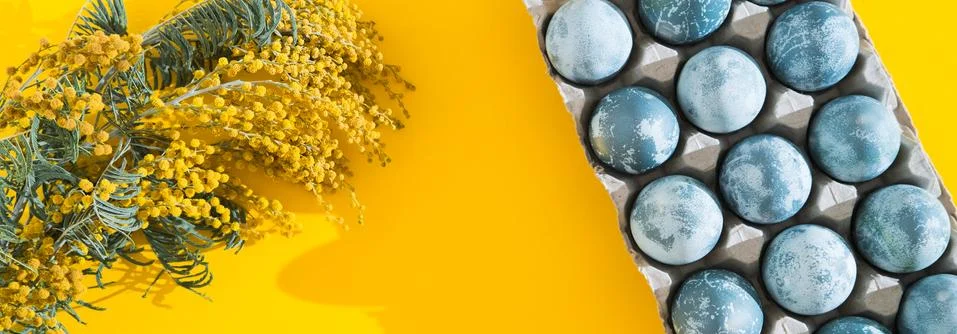 Blue textured colored Easter eggs in a box and mimosa flowers on a bright yellow Stock Photos
