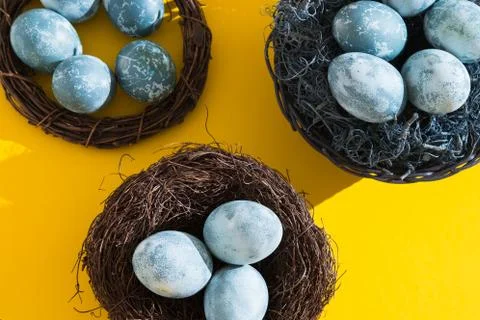 Blue textured colored Easter eggs in a nest or wreath on a bright yellow holiday Stock Photos