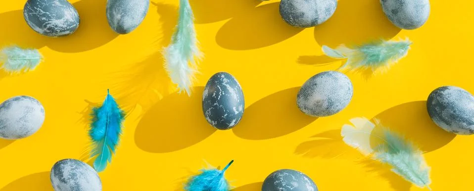 Blue textured colored Easter eggs and chicken bird feathers on a bright yellow Stock Photos