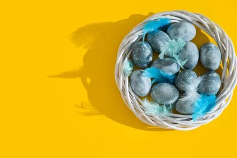 Blue textured colored Easter eggs with bird feathers in a nest or wreath on a Stock Photos