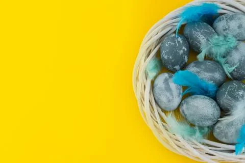 Blue textured colored Easter eggs with bird feathers in a nest or wreath on a Foto stock
