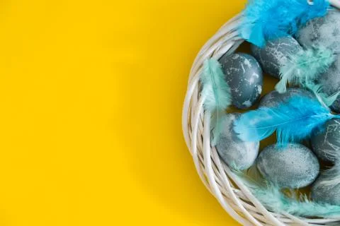 Blue textured colored Easter eggs with bird feathers in a nest or wreath on a Stock Photos