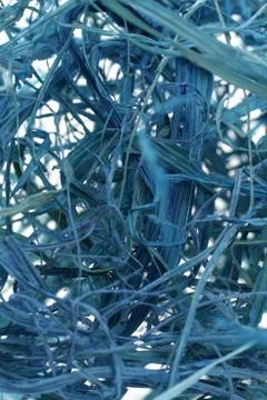 Blue threads abstraction on white background Foto stock