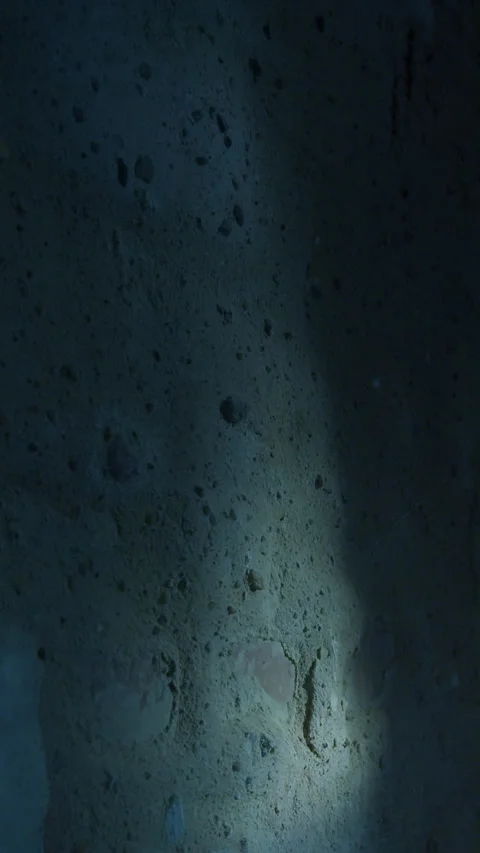 Blue tinted light fading over textured cellar wall in dark shadows Stockbeeldmateriaal 332750652