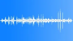 Blue Tit Adults Feeding Sound Effect