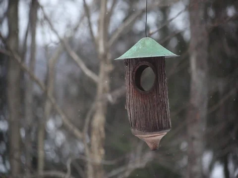 Blue Tit On A Bird Feeder In Winter While It Snow Is Falling 库存影片 71549538