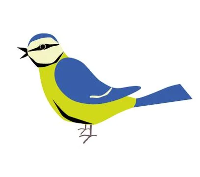 Blue tit イラスト素材