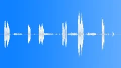 Blue Tit Song + Sound Effect