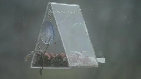 Blue Tit Visits WIndow Bird Feeder on a Snowy Day, Flies Away, Close Up Bokeh Stock Footage 274447969