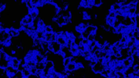 Blue Toxic Liquid Background Видео 209131171