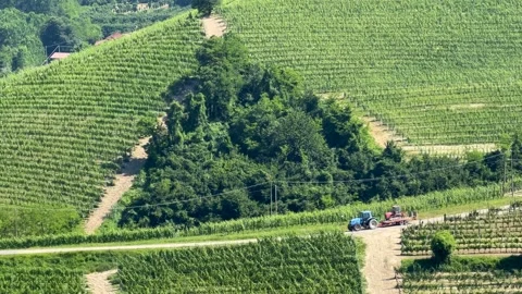 Blue Tractor Driving Through Rolling Green Vineyards in Piedmont Italy Stock Footage 338041693