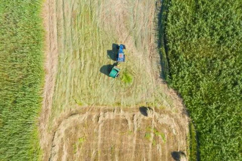 Blue tractor in the field. Foto stock
