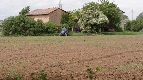Blue Tractor on a Freshly Plowed Field with Crows on it and Farm Nearby Video stock 155956750
