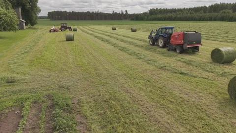 Blue tractor pulls a round baler producing a fresh hay bale in a rural field Video stock 337257393