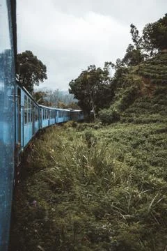A blue train driving through tea plantations Stock Photos