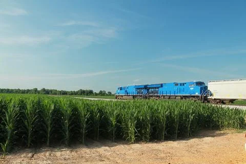 Blue Train Going trough a Cornfield on a Bright Sunny Day Stock Photos