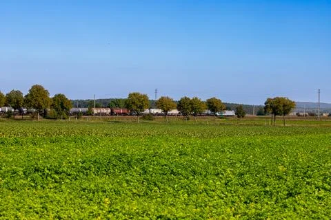 Blue train passes through a forest in the distance Stock Photos