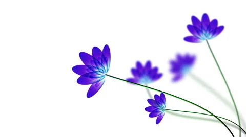 Blue transparent flowers Stock Footage 49976004