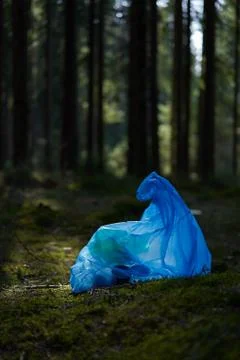A blue trash bag with garbage inside thrown away in a clear coniferous forest. Stock Photos