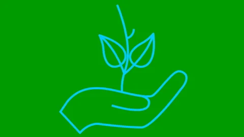 Blue tree in hand green Video stock 229758086