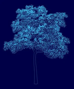 Blue tree is shown in a blue background. The tree is very thin and tall, with a Stock Illustration