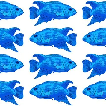 Blue tropical fish seamless pattern. Cichlid family. Blue Jack Dempsey. pet care Stock Illustration
