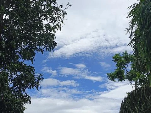 Blue Tropical Sky With Wispy Cirrus Clouds And Green Trees Tropical Blue Sk Stock Photos
